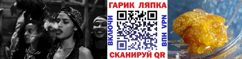 ГАШИШ Cannabis  Сясьстрой 