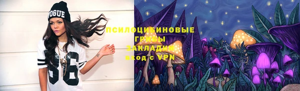 ECSTASY Абаза