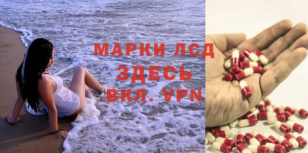 ECSTASY Абаза