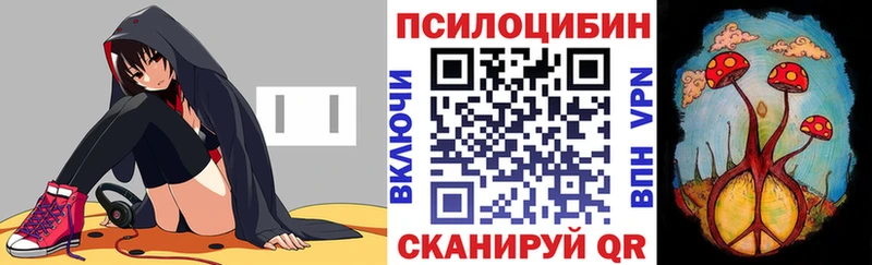 ссылка на мегу ССЫЛКА  Сясьстрой  Псилоцибиновые грибы GOLDEN TEACHER 