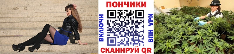 Шишки марихуана тримм  хочу   Сясьстрой 